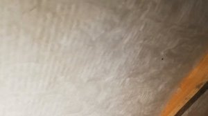 Конденсат на мансардной кровли. Опять не та пленка.