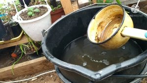 Кальциевая селитра. Важная подкормка для всех растений