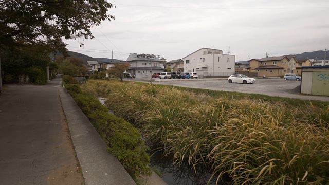 4K・Прогулка у озера Сува смотреть онлайн