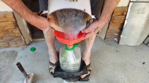 стёкла для кур,какнеобходимость.