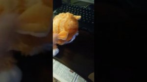 Проверяем способ как оживить игрушку(не монтаж)