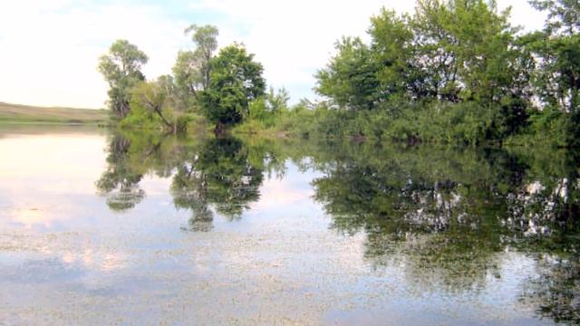 Мне снится Родина моя смотреть онлайн