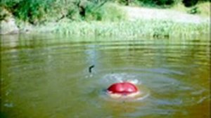 Нерская