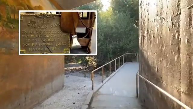 The Oak of the Golden Dream Mystery смотреть онлайн