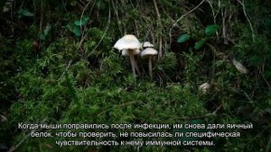 Определена причина боли в животе после еды