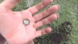 По битому месту! Поиск монет на Поле Чудес 3 - шикарная полянка!