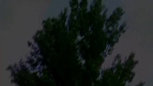 Гроза. Страшная история.