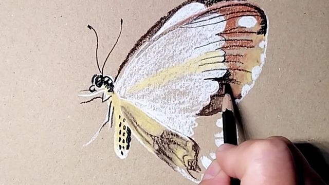 Бабочка на оранжевом цветке. Рисунок сухой пастелью на крафтовой бумаге. смотреть онлайн