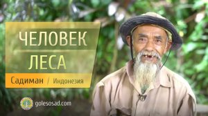 ЧЕЛОВЕК ЛЕСА!