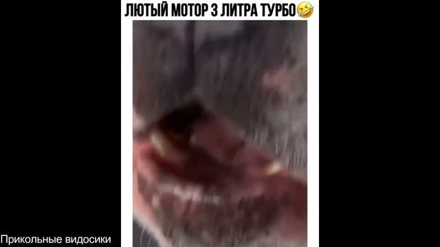 Подборка прикольных видео/Прикольные видосики#54