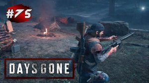 DAYS GONE (Жизнь После) ➤ Прохождение # 75 ➤ Немножко Хаоса / Зачистка Лагеря