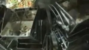 Линия фасовки замороженных овощных полуфабрикатов