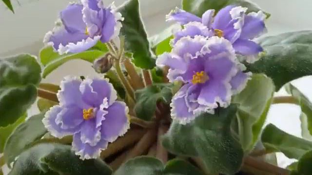 чтоб каждый день☀☀☀ удачным был... смотреть онлайн