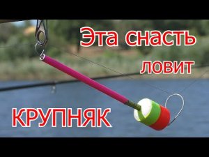 Рыбалка на комбинированную снасть. Карп и огромные караси на флэт с макушатником. My fishing