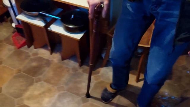 ТРОСТЬ С АЛИЭКСПРСС Обзор трость с рукоятью в виде головы лошади