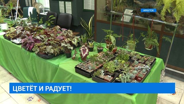 "Осенний вальс цветов" смотреть онлайн