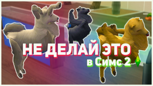 Вещи, которые нельзя делать в Симс 2. Как избежать коррупции. Антикоррупционные моды. Программы.