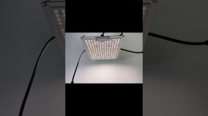 Светильник для растений, фитолампа quantum board (квантум борд) SL1000: Samsung LM281b+,Mean Well