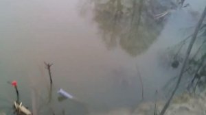 КАК ПРОСТО СДЕЛАТЬ ПОДАЧУ И СЛИВ ВОДЫ В ЛЮБОМ ВОДОЁМЕ!!!