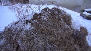 Бесплатный обогрев курятника, теплицы в зимние время.