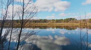 Весенние пейзажи возле реки Вымь. Весна 2023.