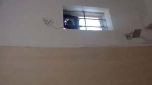 Обзор номера Standart в отеле Morjim Grand Inn 3* (Индия, ГОА/ India, GOA)