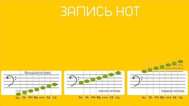 СОЛЬФЕДЖИО | Как записывать ноты в скрипичном и басовом ключах