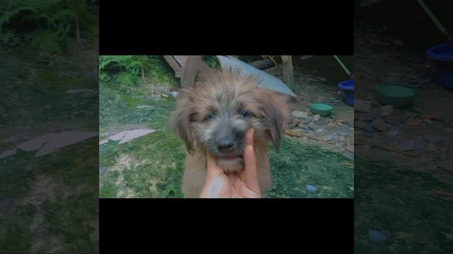 babye baby sky