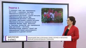 Биология. 9 класс. Взаимодействие аллельных генов: полное и неполное /12.02.2021/