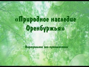 "Природное наследие Оренбуржья": виртуальное эко-путешествие