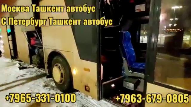 автобус москва-худжанд автобус санкт-петербург-ташкент-худжанд+79683541010#сегодня #мусофирлар смотреть онлайн