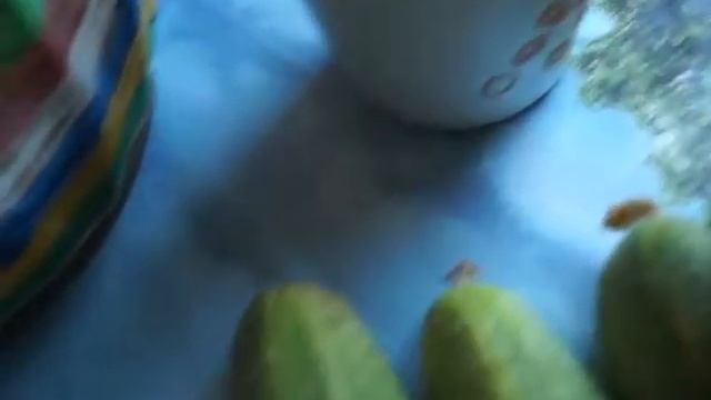 KoZa DeReZa / ПЛЮСЫ ДЕРЕВЕНСКОЙ ЖИЗНИ / КОРОТКО / смотреть онлайн