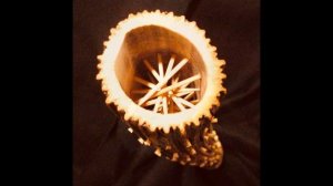 Музыкальный инструмент "Шум дождя" своими руками. Мастер-класс