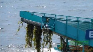 Комбайн для уборки водорослей. Швейцария, Женевское озеро.