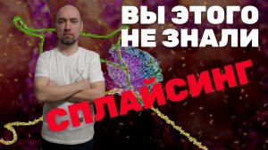 Что такое сплайсинг? Душкин объяснит