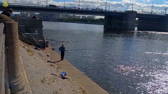 Рыбалка на Неве увлекательна и колоритна прямо с набережной смотреть онлайн