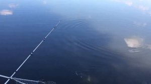 Рыбалка на пруду «Кострома»