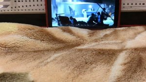 Песня наш корабль идёт ко дну 🛳