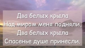 Два белых крыла ??️очень красивый псалом ✨ christian song??️ two white wings?.