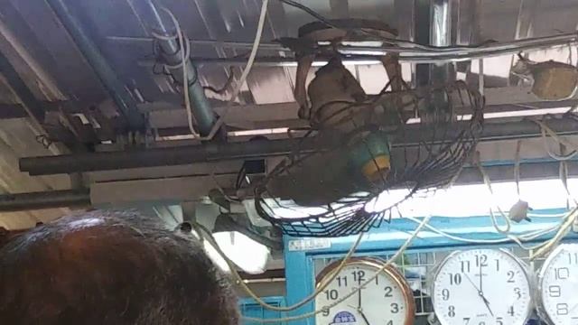 Unknown orbit ceiling fan by shop смотреть онлайн