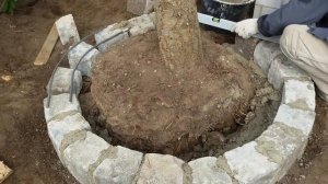 Клумба из камня своими руками.
