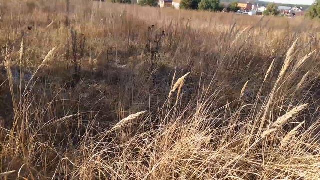 Демонтаж времянки. смотреть онлайн