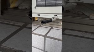 冷氣機滴水聲 Air conditioner dripping sound エアコンの滴る音 Звук капающего кондиционера