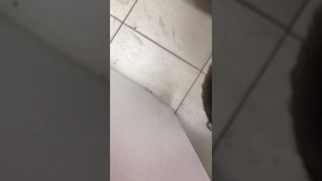 23 марта 2023 г. смотреть онлайн