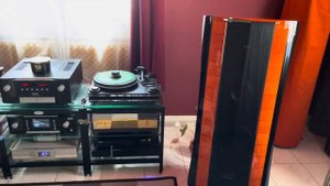 Mark Levinson No.519, Mark Levinson No.585, Sonus Faber Elipsa Red. www.nlaudio.hu +36309571854.