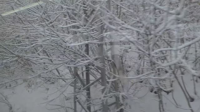 Традиционные ценности... Что это?.