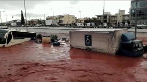 В Греции объявлен траур по жертвам наводнения, которое унесло жизни 14 человек