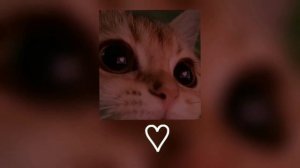 ::?Христина Соловій - тримай | speed up ?