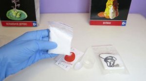 Химические опыты РАКЕТА  волшебное дерево ,  выращиваем кристаллы ,  вулкан    Делаем опыт вулкан