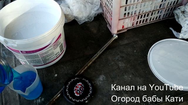 Уникальная побелка для деревьев. Лечим и защищаем сад от вредителей. Как, чем и зачем белить деревь